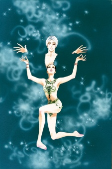 Imagen de Swan