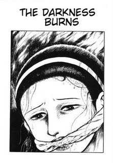 Cover for The Darkness Burns