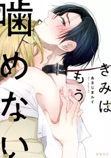 Kimi wa Mou Kamenai