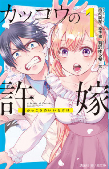 Kakkou no Iinazuke  Light Novel 