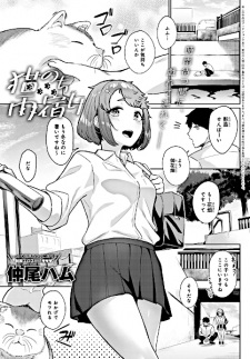 Imagen de Neko Nochi Amayadori