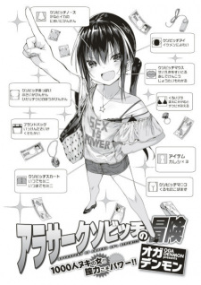 Around 30 Kuso Bitch no Bouken
