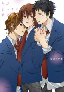 Tada Massugu ni Kimi wo Omou