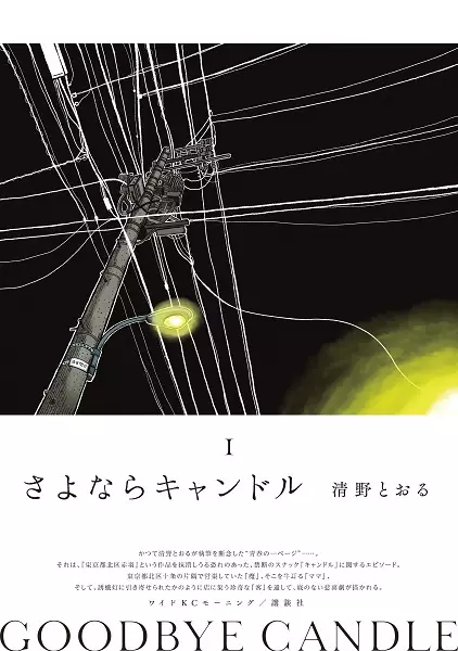 Goodbye Candle cover