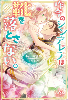 Imagen de Sakkon no Cinderella wa Kutsu wo Otosanai.