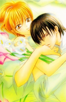 Imagen de Skip Beat!