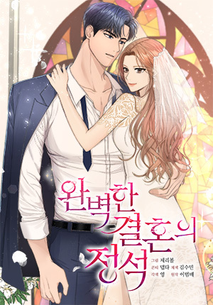 Cover for Perfect Marriage Revenge