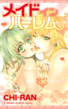 Imagen de Made in Harem