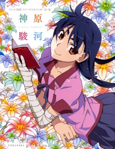 Imagen de Monogatari Series Heroine Hon