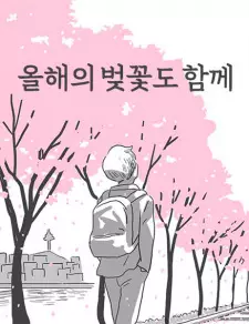 Cherry Blossoms