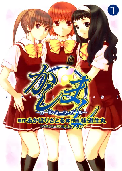 Kashimashi: Girl Meets Girl