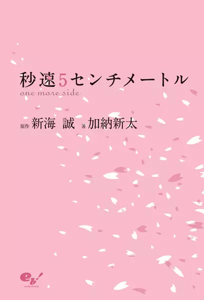 5 Centimeters per Second: One More Side