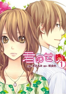 Cover for Kimi no Sei