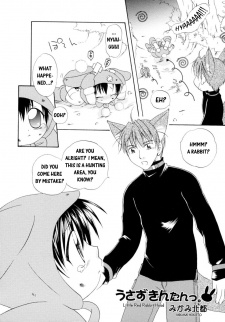 Imagen de Little Red Rabbit Hood