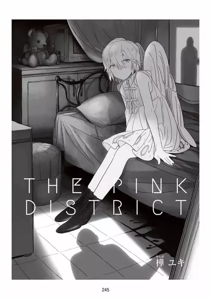 The Pink District