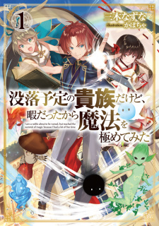 Capa de Botsuraku Yotei no Kizoku dakedo, Hima Datta kara Mahou wo Kiwametemita