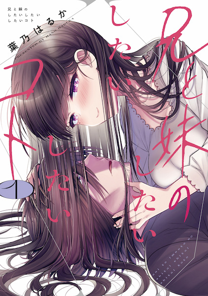 Cover for Ani to Imouto no Shitai Shitai Shitai Koto