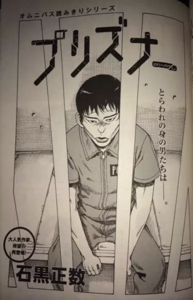 Prisoner cover