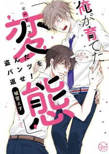 Ore ga Sodateta "Hentai": Nusunda Pantsu wo Kaese!