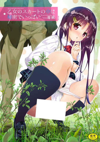 The Secret in the Maiden Skirt cover
