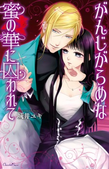 Ganjigarame na Mitsu no Hana ni Torawarete