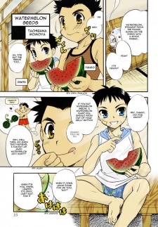 Imagen de Watermelon Seeds