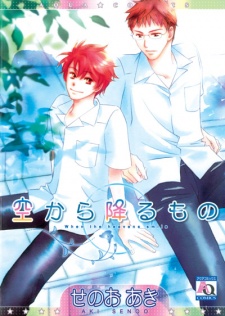 Imagen de Sora kara Furumono