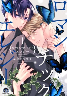 Romantic Elegy