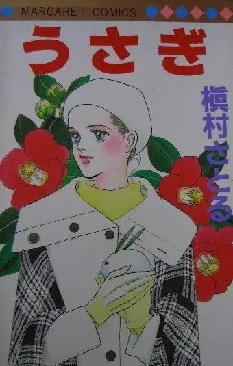 Cover of Rabbit