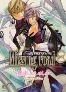 Missing Road