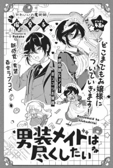 Dansou Maid wa Tsukushitai