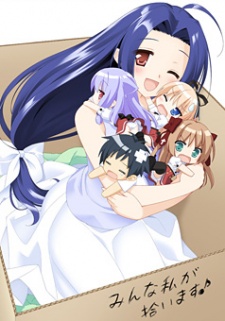 Imagen de Mayoi Neko Overrun!