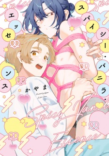 Spicy Vanilla Essence