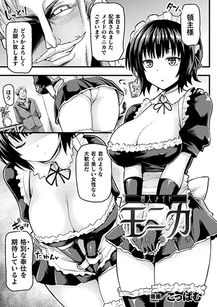 Sennyuu Maid Monika: NTR Houkokusho cover