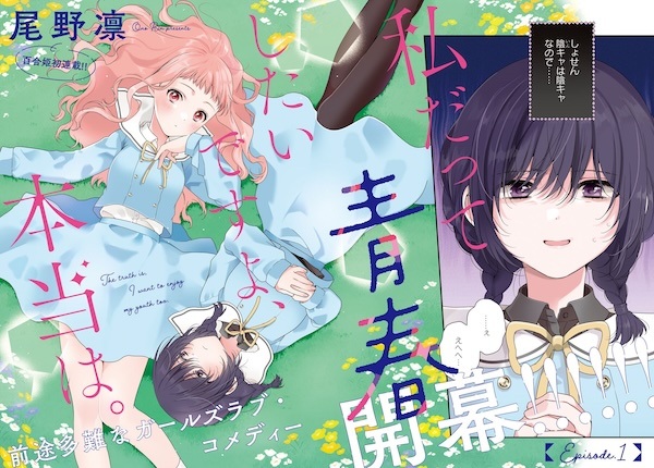 Watashi datte Seishun shitai desu yo, Hontou wa.