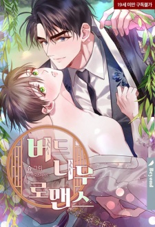Whispers Through the Willows