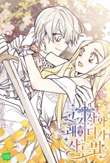 From a Knight to a Lady