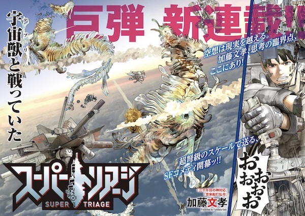 Poster de Super Triage