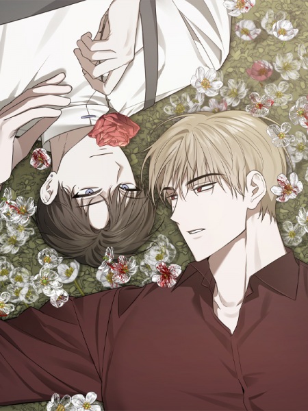 Bloom in the Shadows