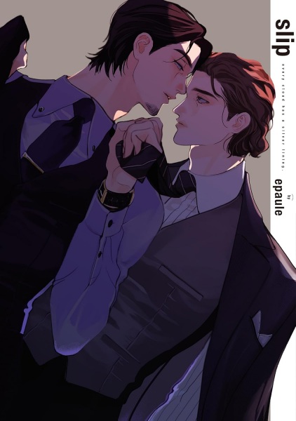 Slip cover