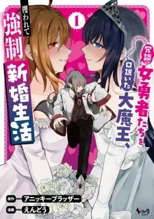Joudan de Onna Yuusha-tachi wo Kudoita Daimaou, Sarawarete Kyousei Shinkon Seikatsu