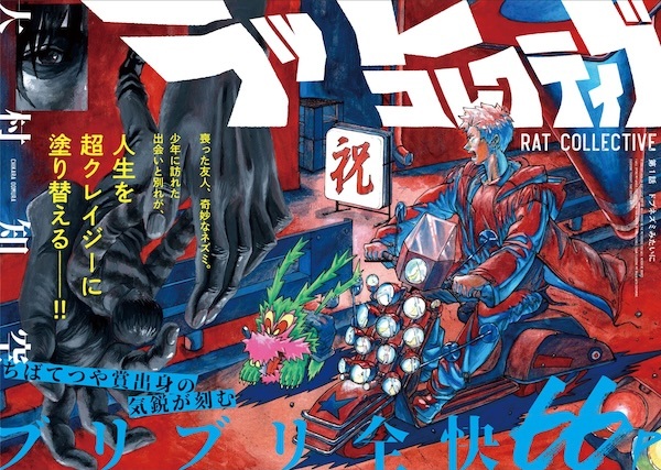 Rat Collective cover
