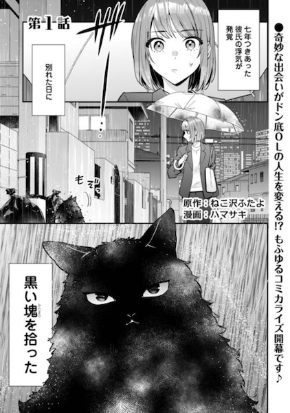 I'm Not Sure If the Cat I Found Is Actually a Cat. cover