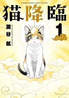 Neko Kourin