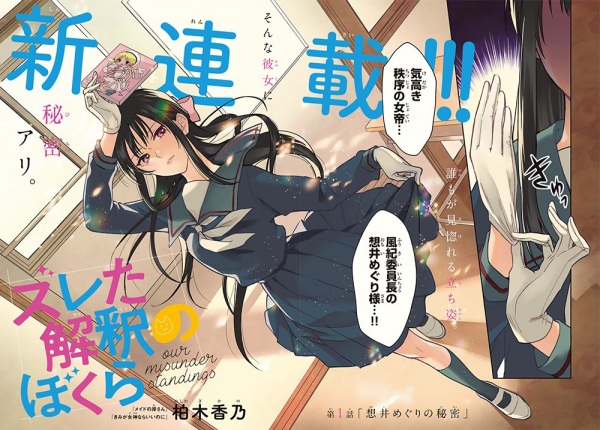 Our Misunderstandings cover