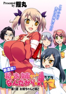 Imagen de Watashi ga Oneechan Nan Dakara ne!