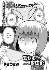 Imagen de Otomegokoro no Jiyuugata