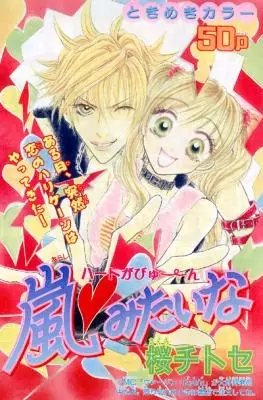 Cover of 嵐みたいな