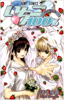 Imagen de Ichigo 100%