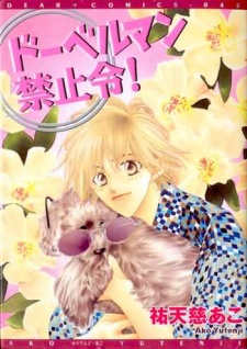 Imagen de Doberman Kinshirei!